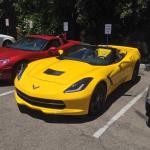StElizabeth_0035 (June 13, 2014)